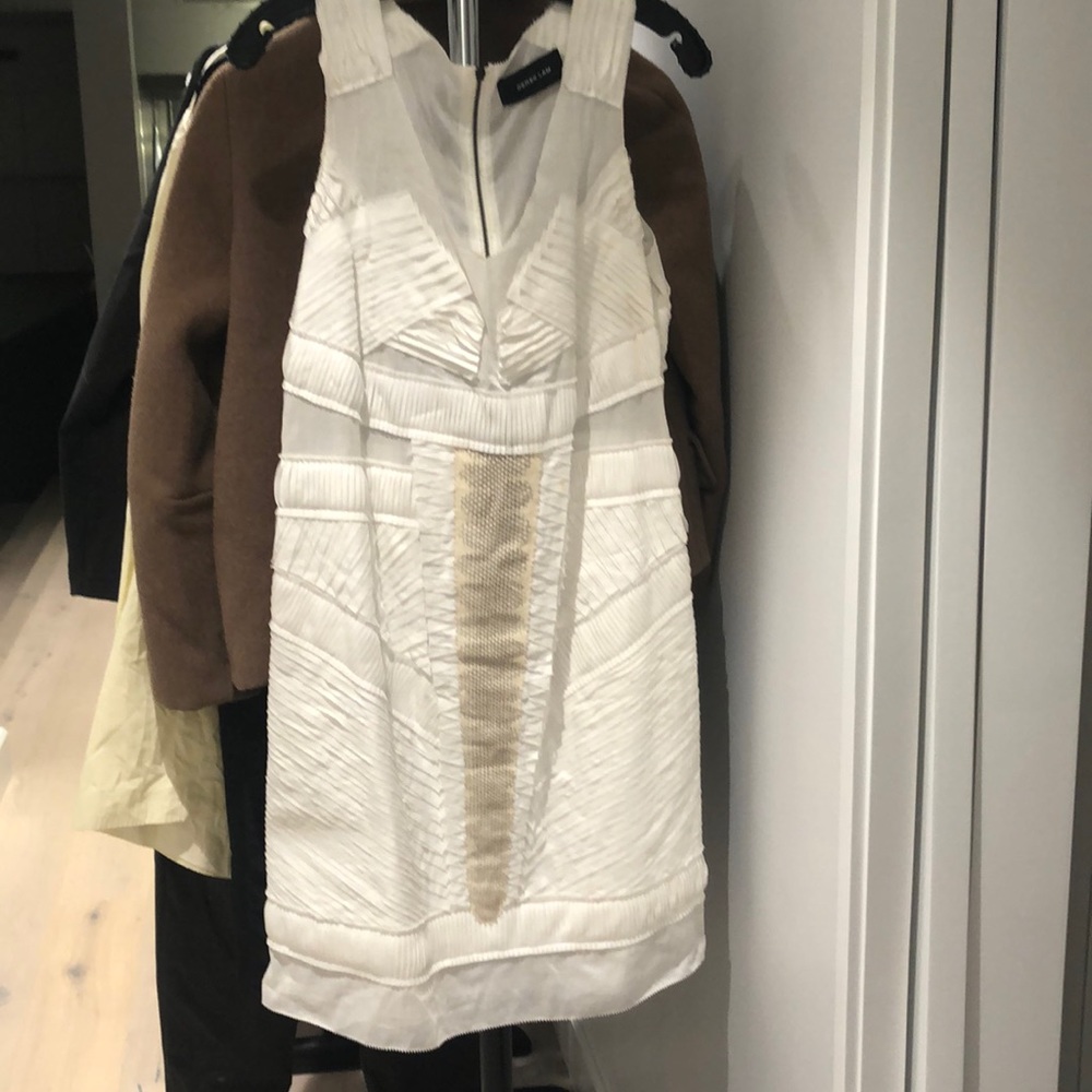 Derek Lam white sheer dress. Back zipper